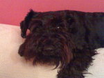 Avatar de Usuario